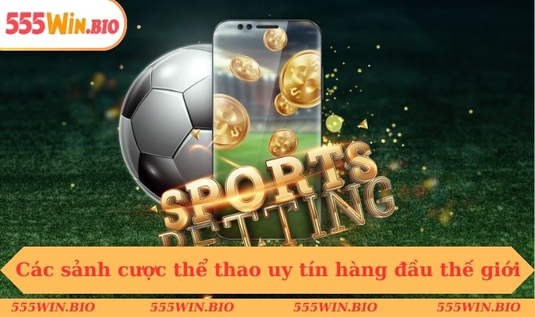 Các sảnh cược thể thao uy tín hàng đầu thế giới