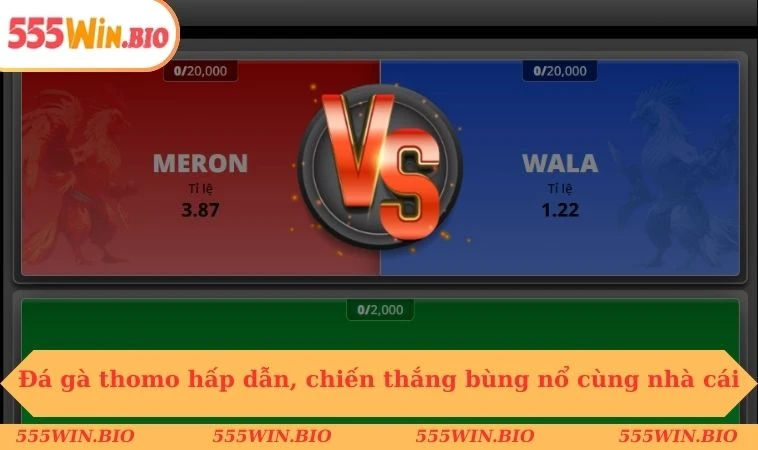 Đá gà thomo hấp dẫn, chiến thắng bùng nổ cùng nhà cái