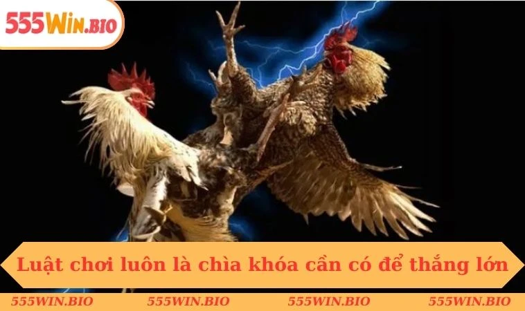 Luật chơi luôn là chìa khóa cần có để thắng lớn