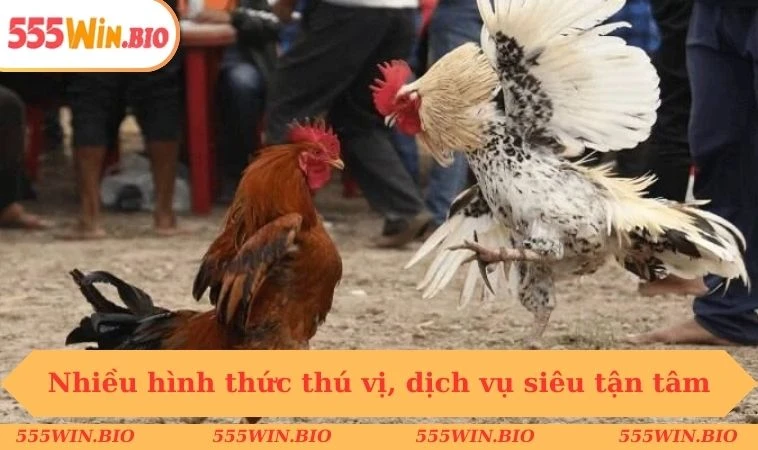 Nhiều hình thức thú vị, dịch vụ siêu tận tâm