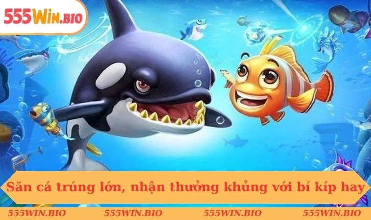 Săn cá trúng lớn, nhận thưởng khủng với bí kíp hay