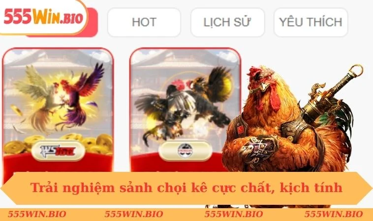Trải nghiệm sảnh chọi kê cực chất, kịch tính